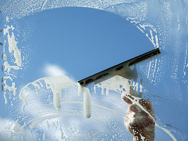 Window cleaner / all purpose 5 litre